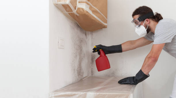 Professional Black Mold Remediation technician working in Windsor, NJ
