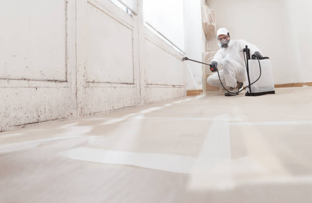 24/7 Emergency Black Mold Remediation experts in Windsor, NJ