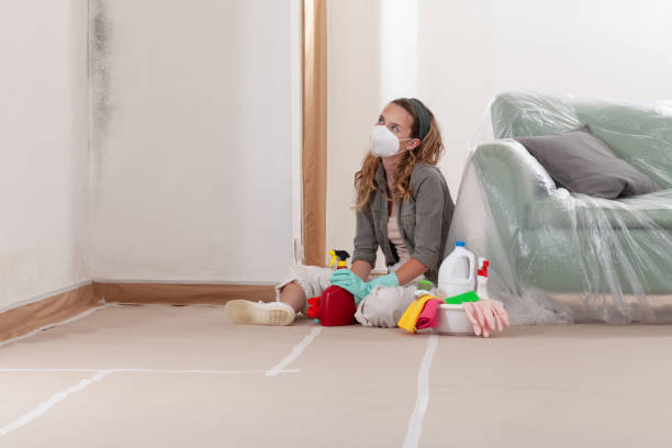Reliable Black Mold Remediation contractor in Windsor, NJ by 24 Hour Mold Removal